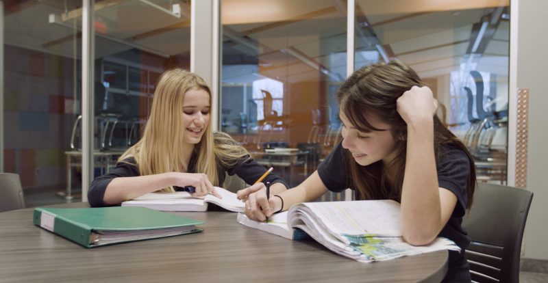 Les mesures d’appui